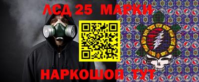 стафф Гусев