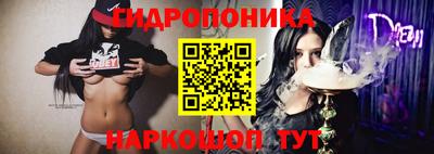 мдпв Гагарин