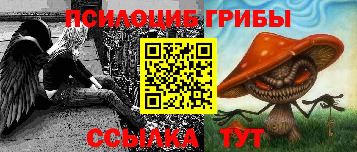 Галлюциногенные грибы Magic Shrooms  Вход с VPN  Губкин  Галлюциногенные грибы Cubensis 