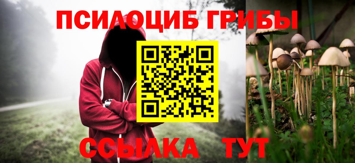 Галлюциногенные грибы ЛСД Губкин